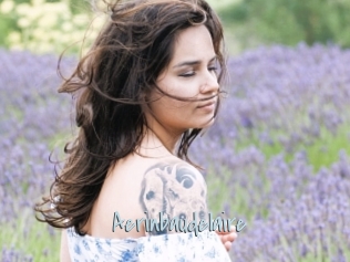 Aerinbaudelaire