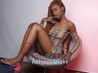 Antoneellahott