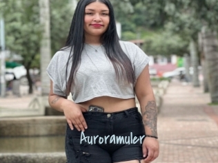 Auroramuler