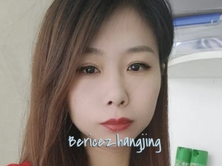 Bericezhangjing