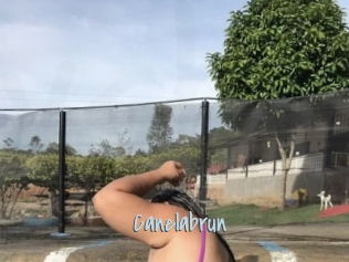 Canelabrun