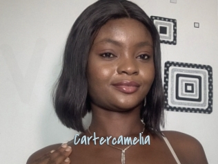 Cartercamelia