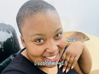 Cocoflames23