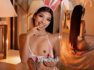Demibush
