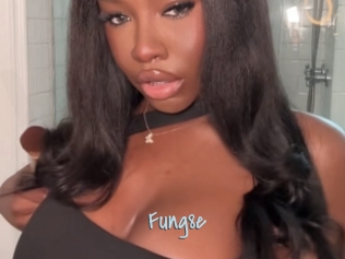 Fung8e