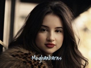 Meghanbarns