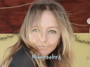 Missfreebird