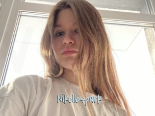 Nikollespark