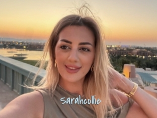 Sarahcollie